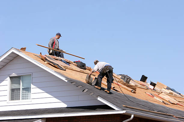 Best Gutter Installation and Repair  in Glenn Heights, TX